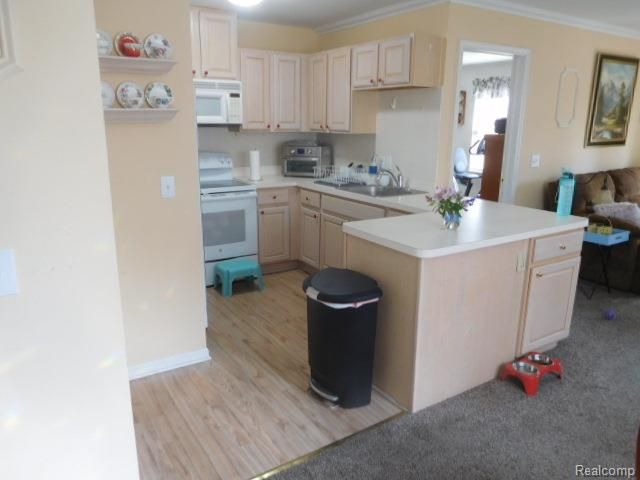 4116 April Lane 24, Sterling Heights, MI 48310