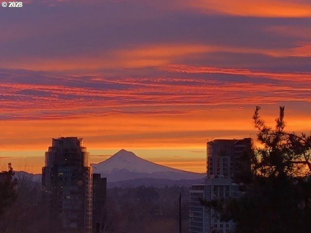 3473 Sw Barbur Blvd 10, Portland, OR 97239