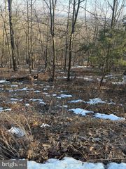 16253 SUMNEY DRIVE, Haymarket, VA 20169