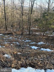 16253 SUMNEY DR, Haymarket, VA 20169