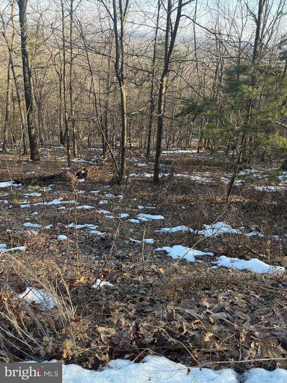 16253 SUMNEY DR, Haymarket, VA 20169