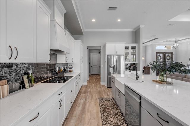 3055 ISOLA BELLA BOULEVARD, Mount Dora, FL 32757