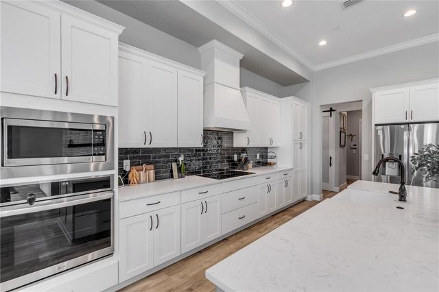 3055 ISOLA BELLA BOULEVARD, Mount Dora, FL 32757