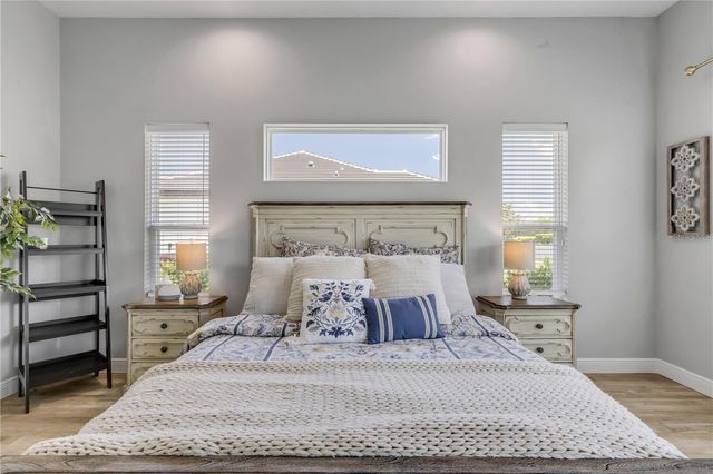 3055 ISOLA BELLA BOULEVARD, Mount Dora, FL 32757