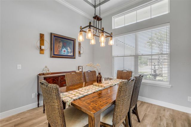 3055 ISOLA BELLA BOULEVARD, Mount Dora, FL 32757