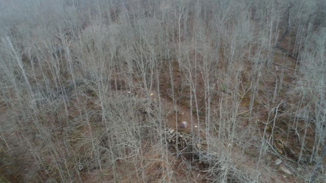 1820 Sulphur Springs Hollow Road, Somerset, KY 42501