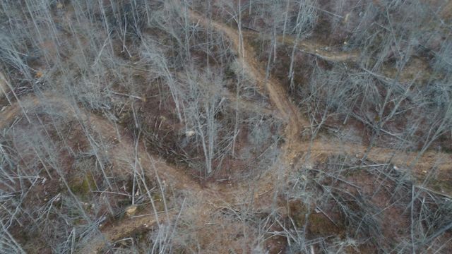 1820 Sulphur Springs Hollow Road, Somerset, KY 42501