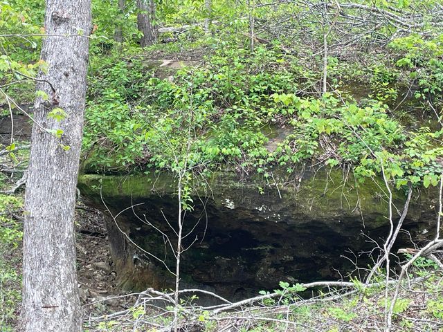 1820 Sulphur Springs Hollow Road, Somerset, KY 42501