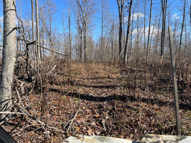 1820 Sulphur Springs Hollow Road, Somerset, KY 42501