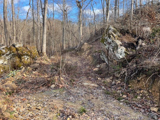 1820 Sulphur Springs Hollow Road, Somerset, KY 42501