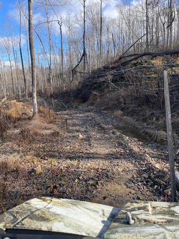 1820 Sulphur Springs Hollow Road, Somerset, KY 42501