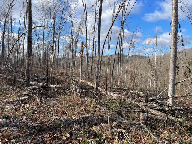 1820 Sulphur Springs Hollow Road, Somerset, KY 42501