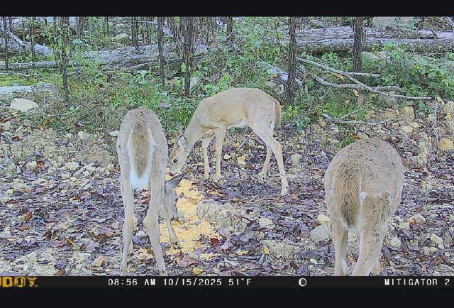 1820 Sulphur Springs Hollow Road, Somerset, KY 42501