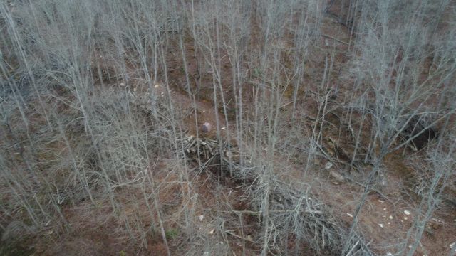 1820 Sulphur Springs Hollow Road, Somerset, KY 42501