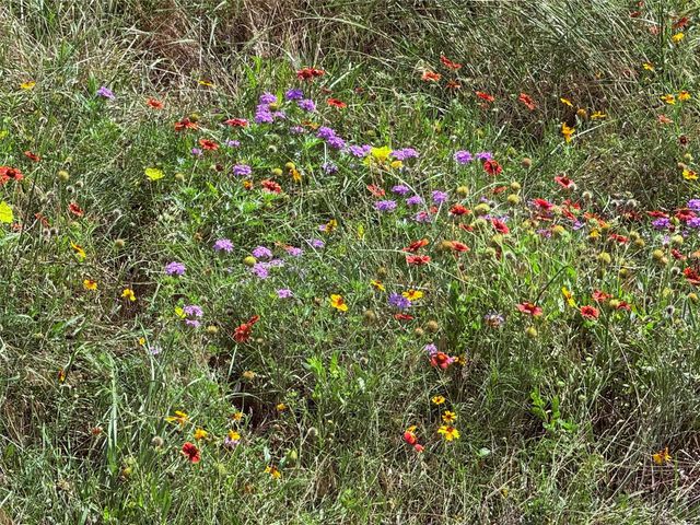 184 Gilmore Court, Lipan, TX 76462