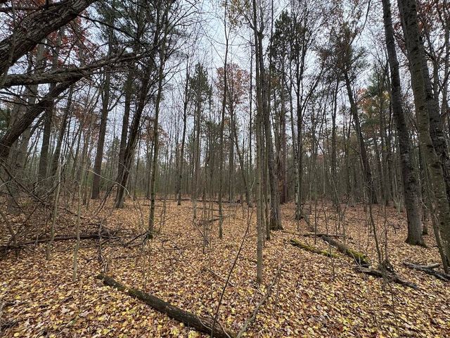 4335 Kings Corner Road, Glennie, MI 48737