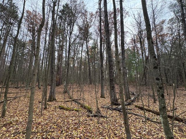 4335 Kings Corner Road, Glennie, MI 48737