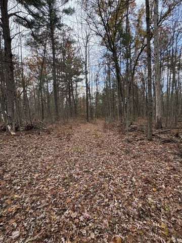 4335 Kings Corner Road, Glennie, MI 48737