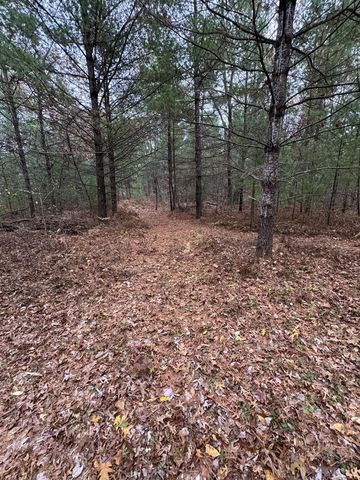 4335 Kings Corner Road, Glennie, MI 48737