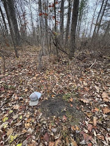 4335 Kings Corner Road, Glennie, MI 48737