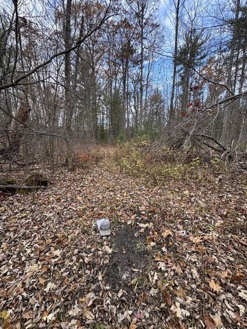 4335 Kings Corner Road, Glennie, MI 48737