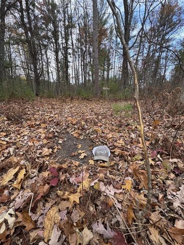 4335 Kings Corner Road, Glennie, MI 48737