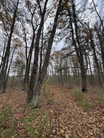 4335 Kings Corner Road, Glennie, MI 48737