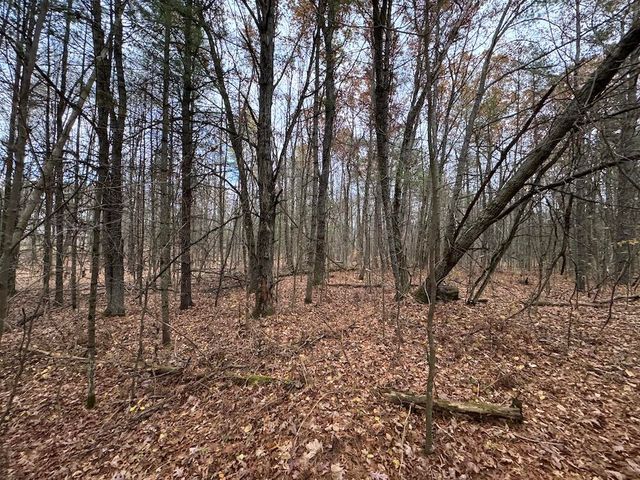 4335 Kings Corner Road, Glennie, MI 48737