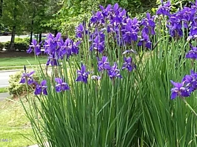 1114 Arborgate Circle, Chapel Hill, NC 27514