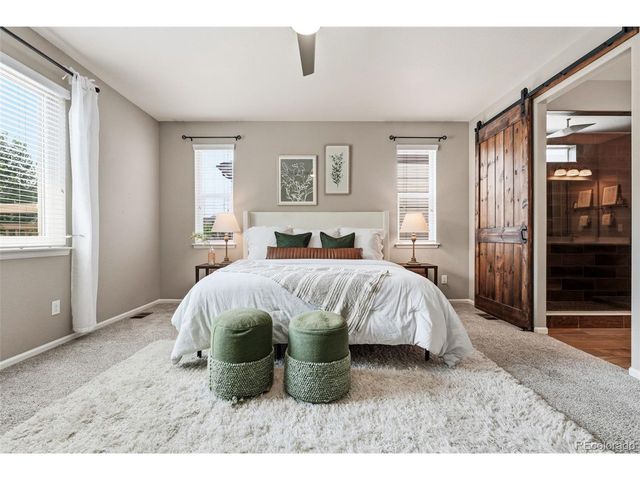 6388 Agave Ave, Castle Rock, CO 80108
