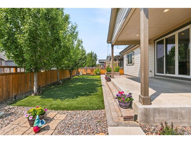6388 Agave Ave, Castle Rock, CO 80108