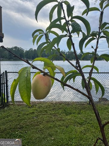 402 Rawley Road, Americus, GA 31719