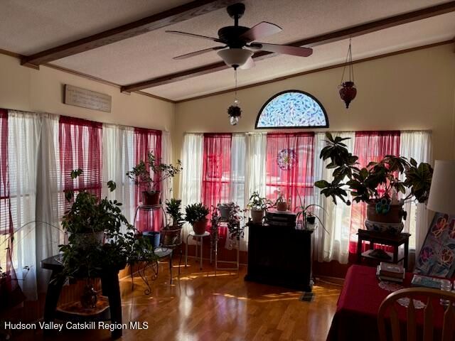 6 New York Street Street 6, Port Ewen, NY 12417