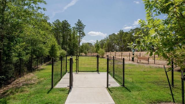 415 Brushback Drive, Huntsville, TX 77320
