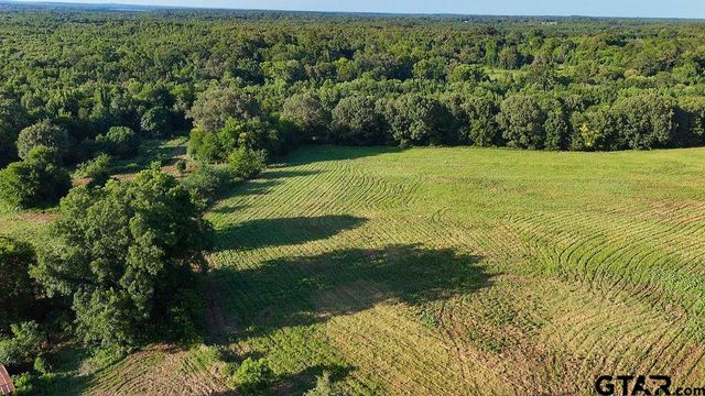 753 County Road 4390, Winnsboro, TX 75494