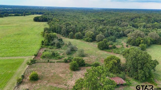 753 County Road 4390, Winnsboro, TX 75494