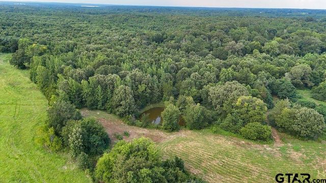 753 County Road 4390, Winnsboro, TX 75494