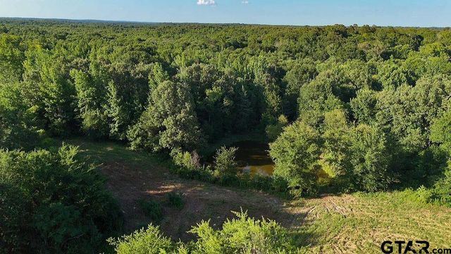 753 County Road 4390, Winnsboro, TX 75494