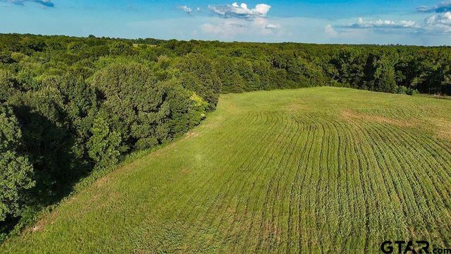 753 County Road 4390, Winnsboro, TX 75494