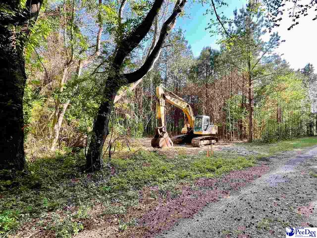 TBD Beth Dr, Conway, SC 29527