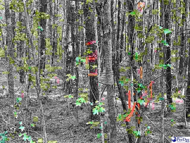 TBD Beth Dr, Conway, SC 29527