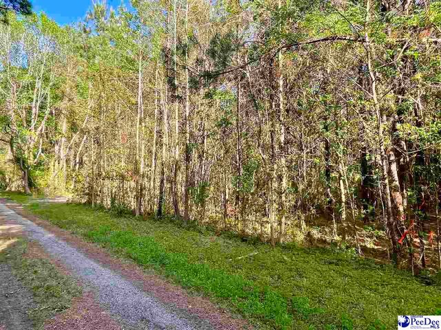 TBD Beth Dr, Conway, SC 29527