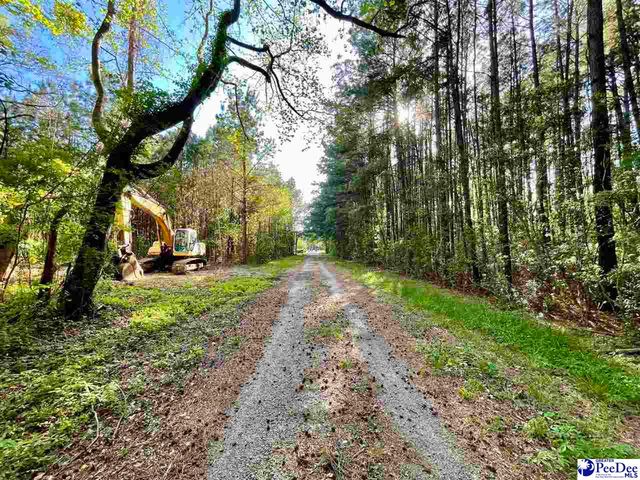 TBD Beth Dr, Conway, SC 29527