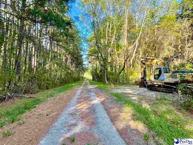 TBD Beth Dr, Conway, SC 29527