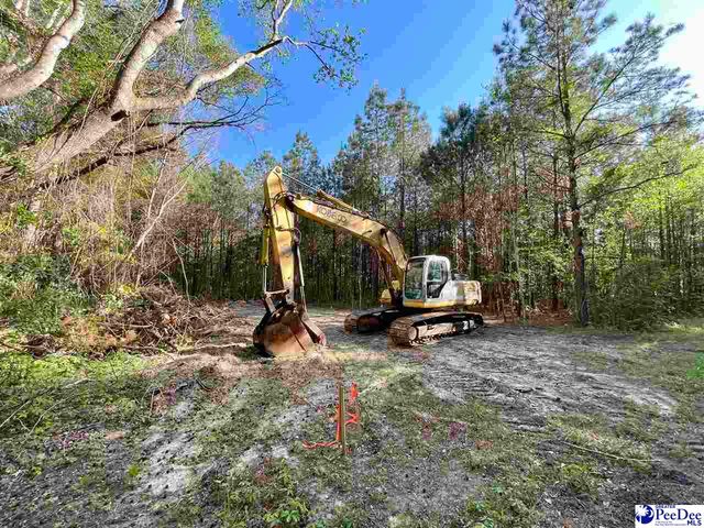 TBD Beth Dr, Conway, SC 29527