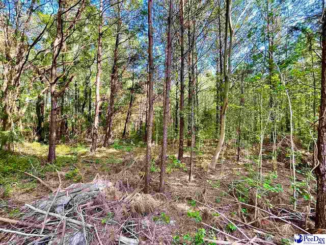 TBD Beth Dr, Conway, SC 29527