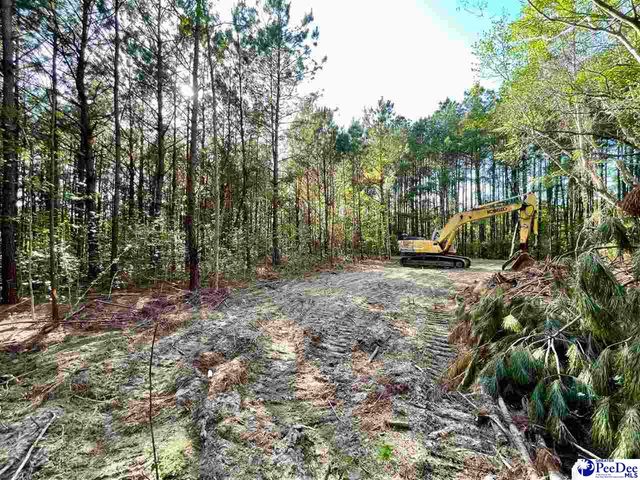 TBD Beth Dr, Conway, SC 29527