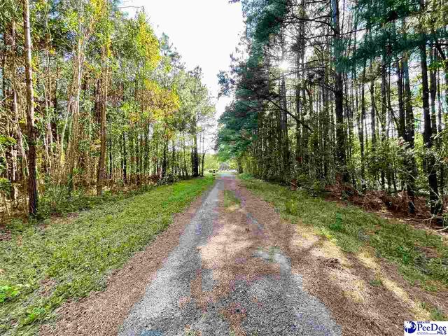 TBD Beth Dr, Conway, SC 29527