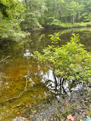 #1 HIGHWAY 55, Vandiver, AL 35176