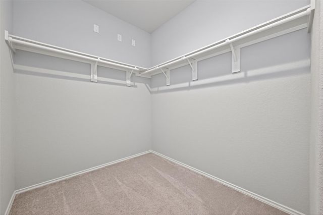 20706 Southern Woods Drive, New Caney, TX 77357